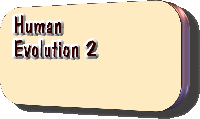 Human Evolution2