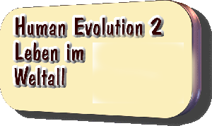 Human Evolution 2